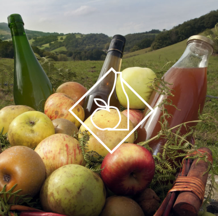 capture d’écran 2025 09 28 234724